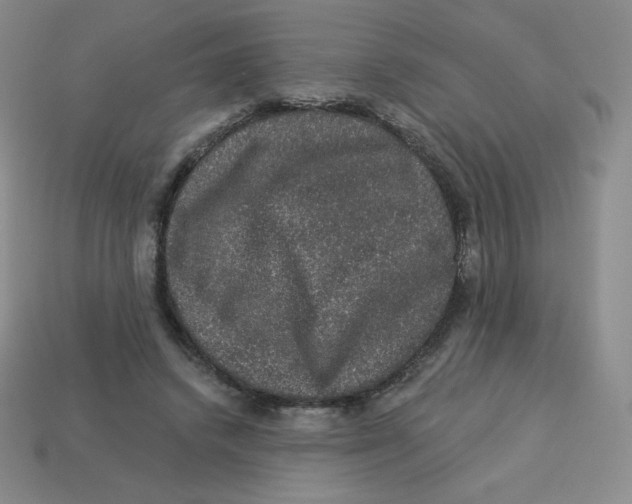 X0000113280448200910131008