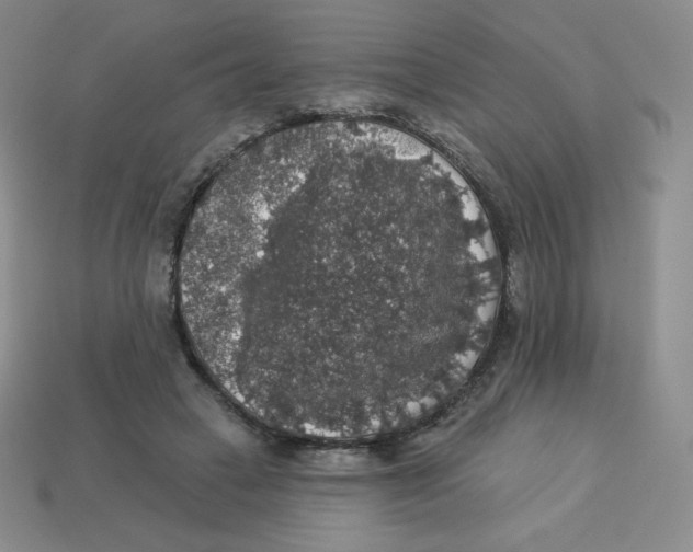 X0000113280449200910131008