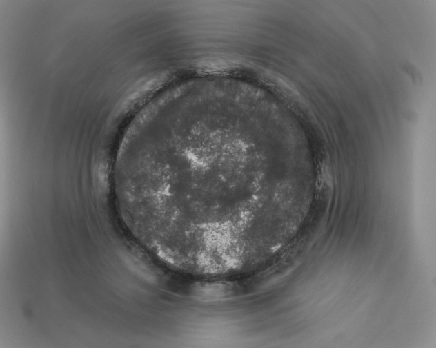 X0000113280452200910131008