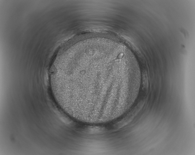 X0000113280453200910131008