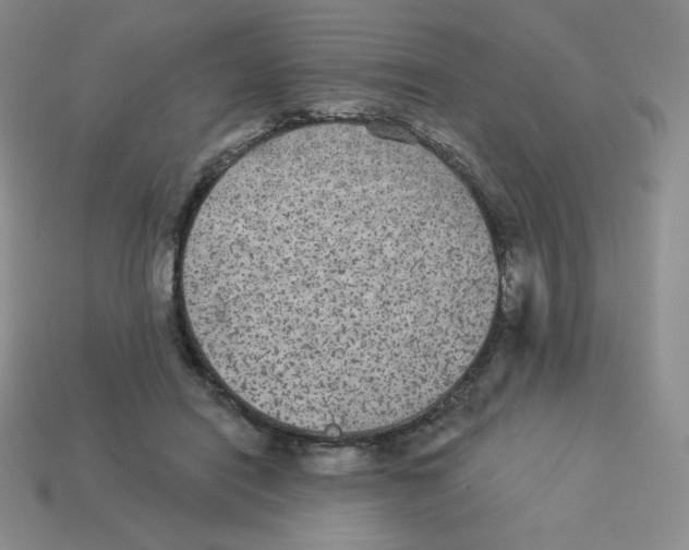 X0000113280454200910131008