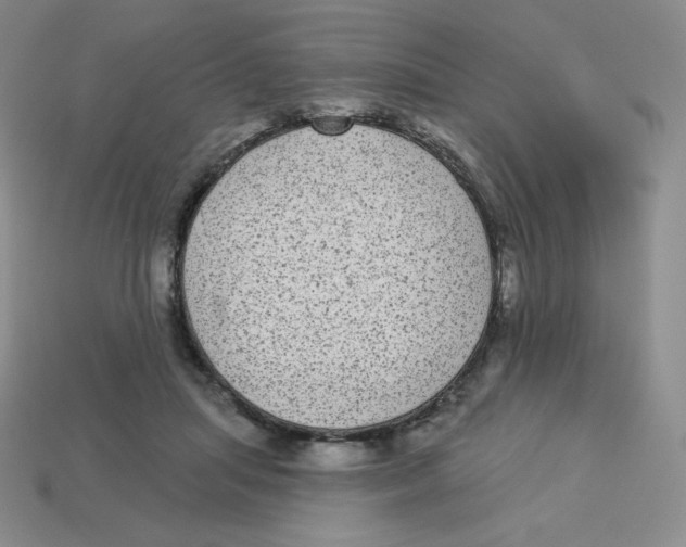 X0000113280455200910131008