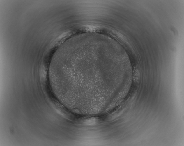 X0000113280456200910131008