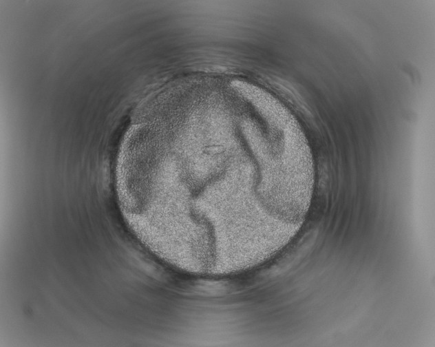 X0000113280457200910131008