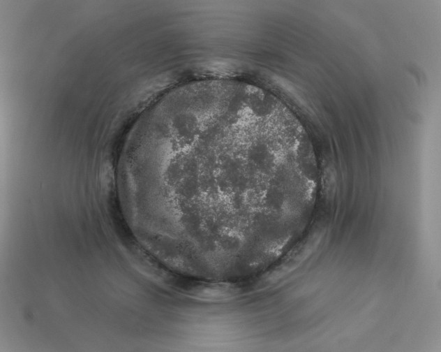 X0000113280459200910131008