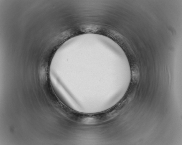 X0000113280460200910131008