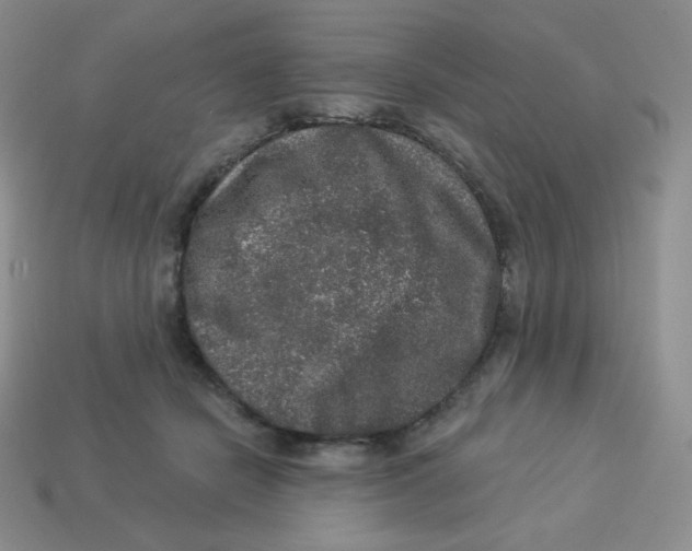 X0000113280462200910131008