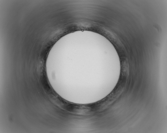 X0000113280463200910131008
