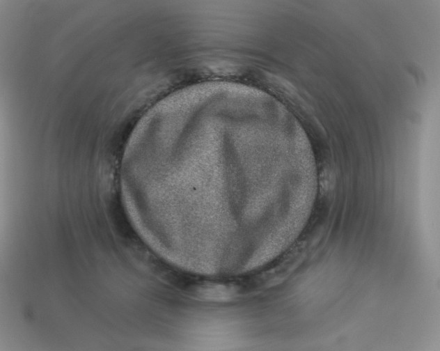 X0000113280464200910131008
