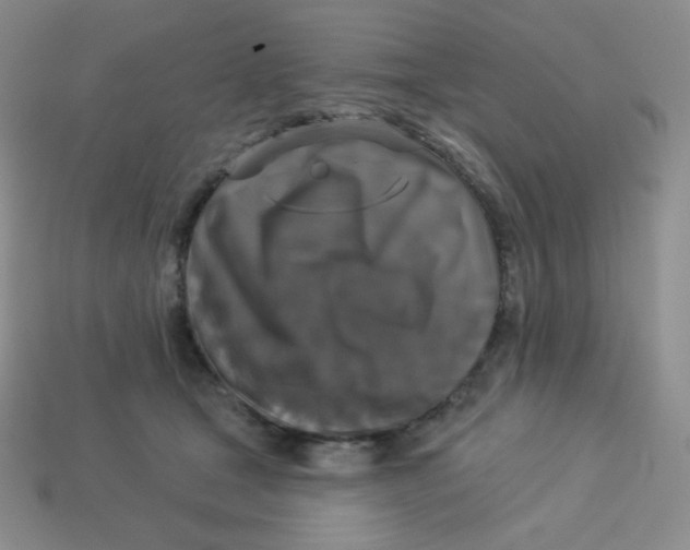 X0000113280465200910131008