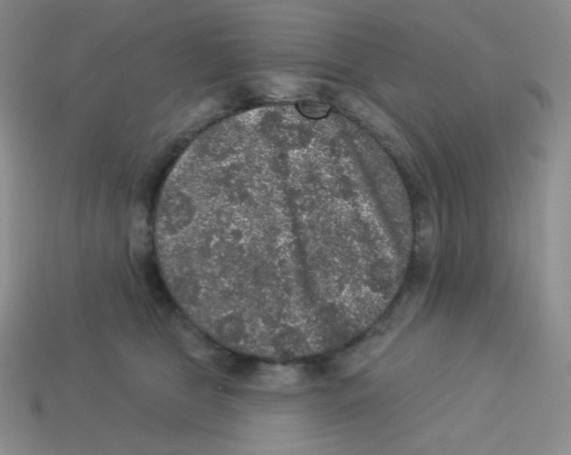 X0000113280469200910131008