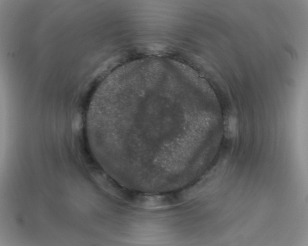 X0000113280472200910131008