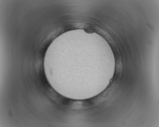 X0000113280473200910131008