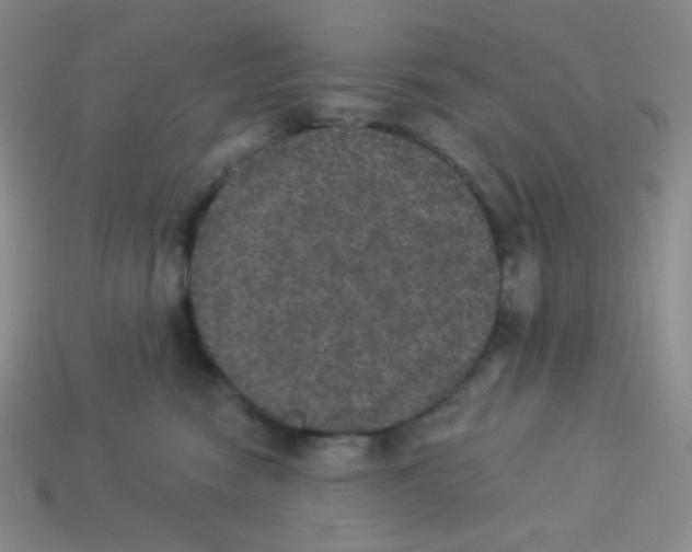 X0000113280474200910131008