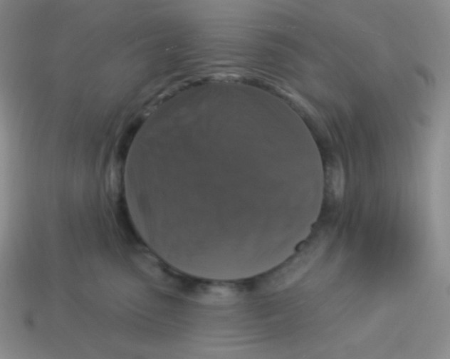 X0000113280475200910131008