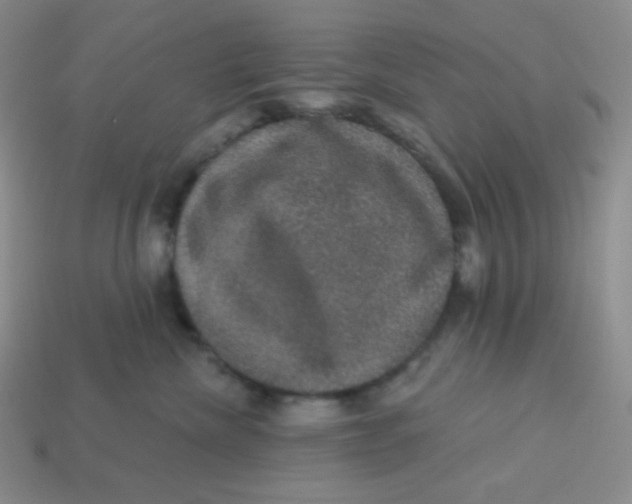 X0000113280476200910131008