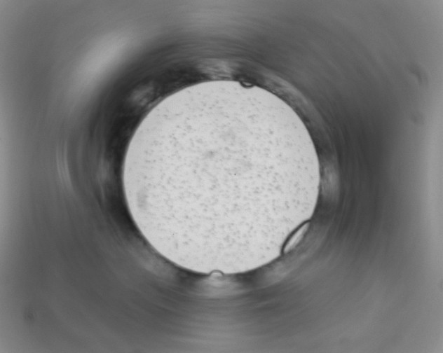 X0000113280477200910131008