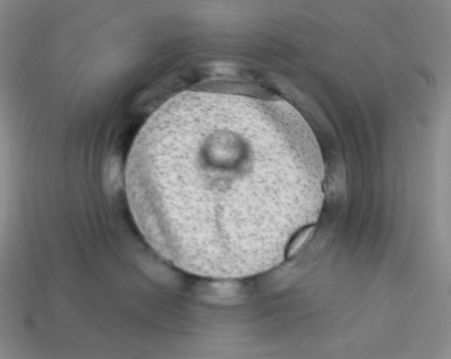 X0000113280478200910131009