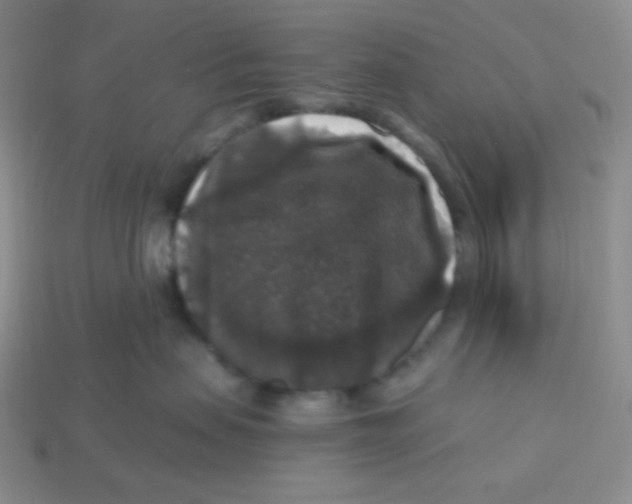 X0000113280479200910131009