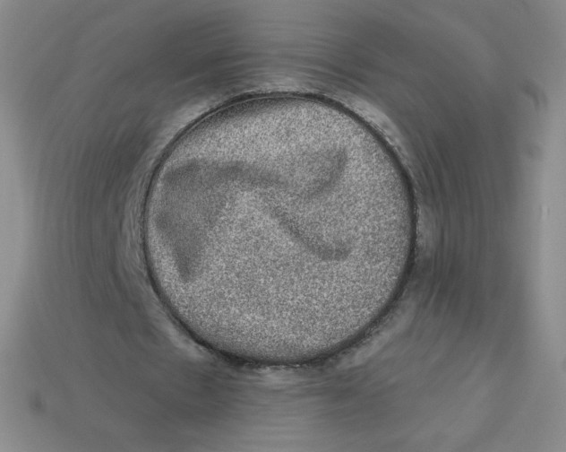 X0000113280481200910131008