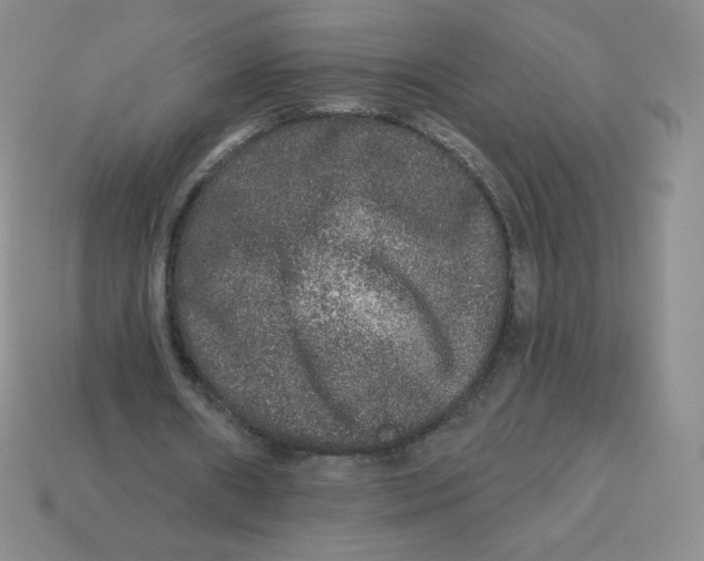 X0000113280482200910131008