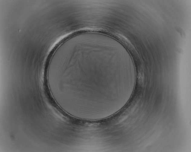 X0000113280484200910131008