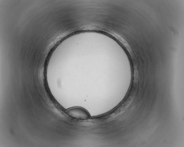 X0000113280485200910131008