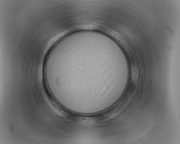 X0000113280486200910131008