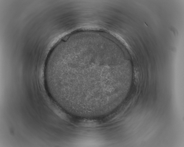 X0000113280487200910131008