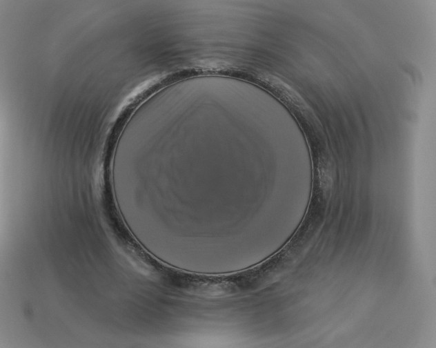 X0000113280488200910131008