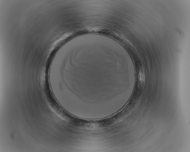 X0000113280492200910131008