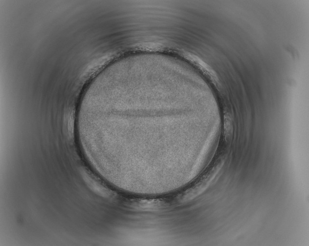 X0000113280493200910131008