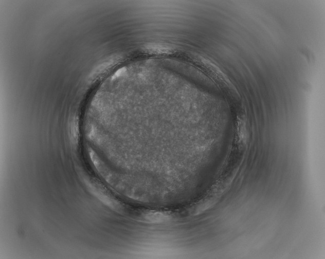 X0000113280494200910131008