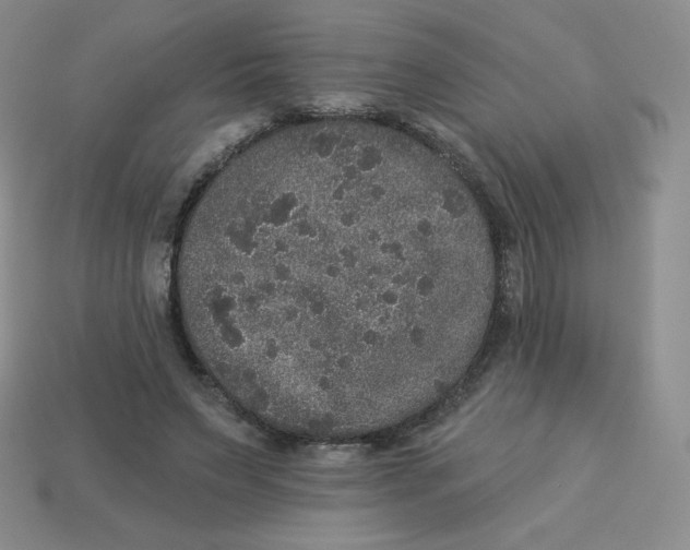 X0000113280495200910131008