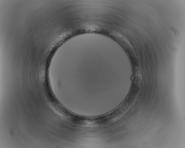 X0000113280496200910131008