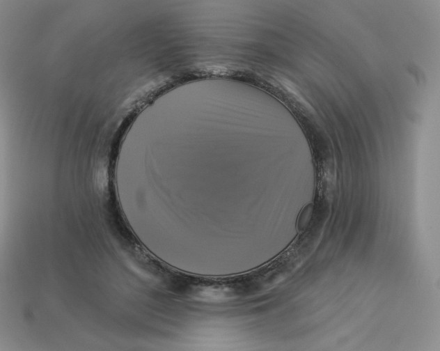 X0000113280500200910131008