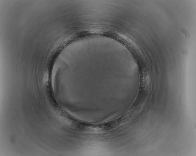 X0000113280502200910131008