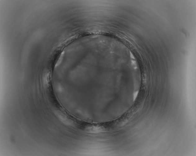 X0000113280503200910131008