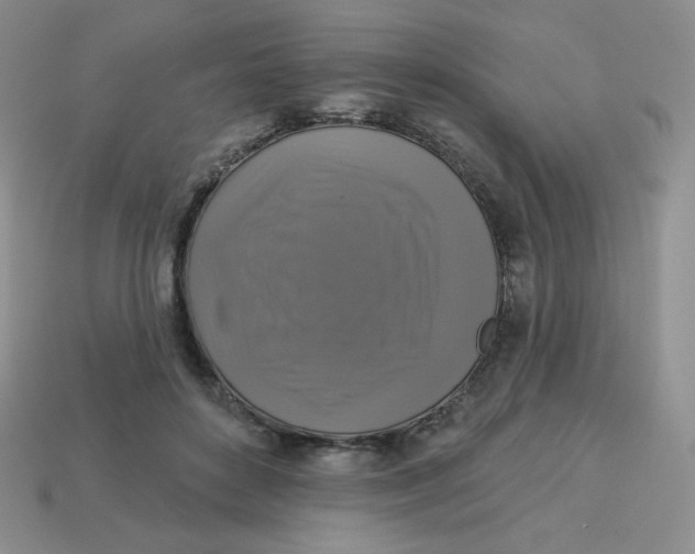 X0000113280504200910131008