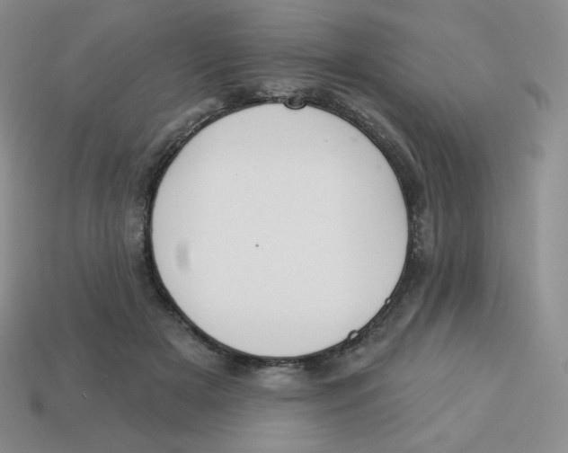 X0000113280505200910131008