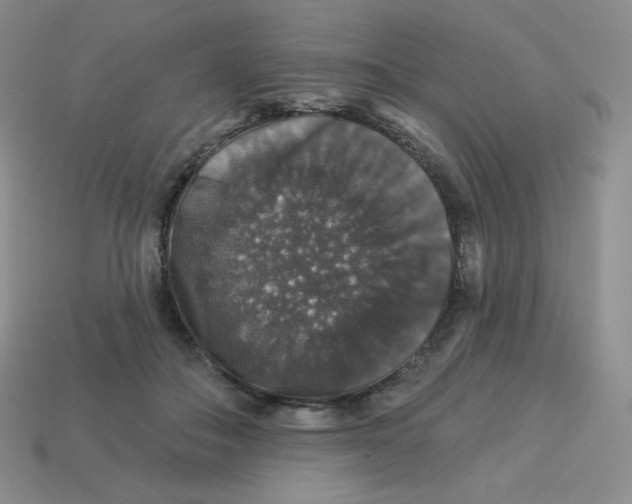 X0000113280506200910131008