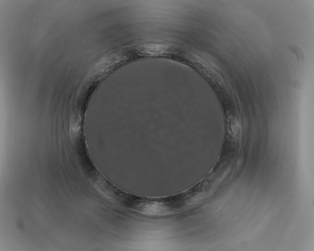 X0000113280507200910131008
