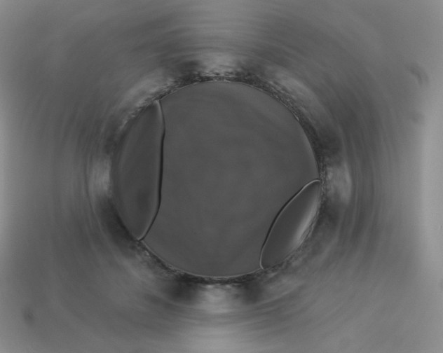 X0000113280508200910131008