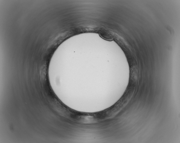 X0000113280509200910131008
