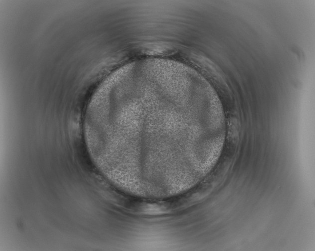 X0000113280510200910131008