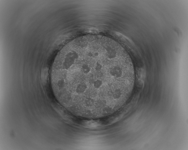 X0000113280511200910131008