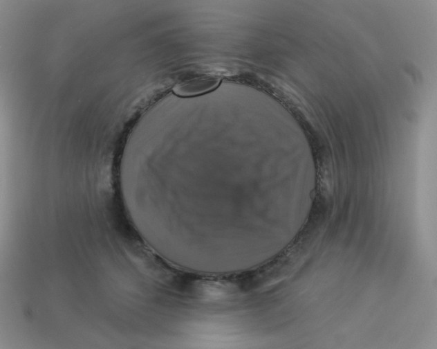 X0000113280512200910131008