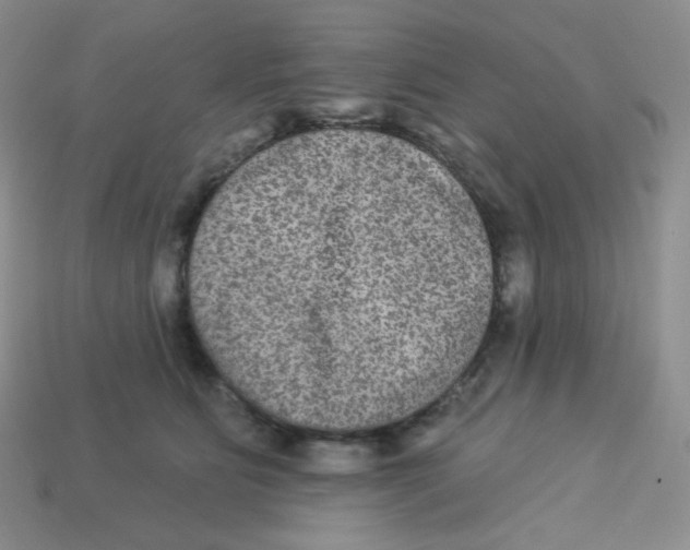 X0000113280515200910131007