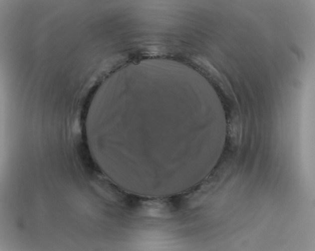 X0000113280516200910131007