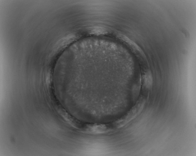 X0000113280517200910131007